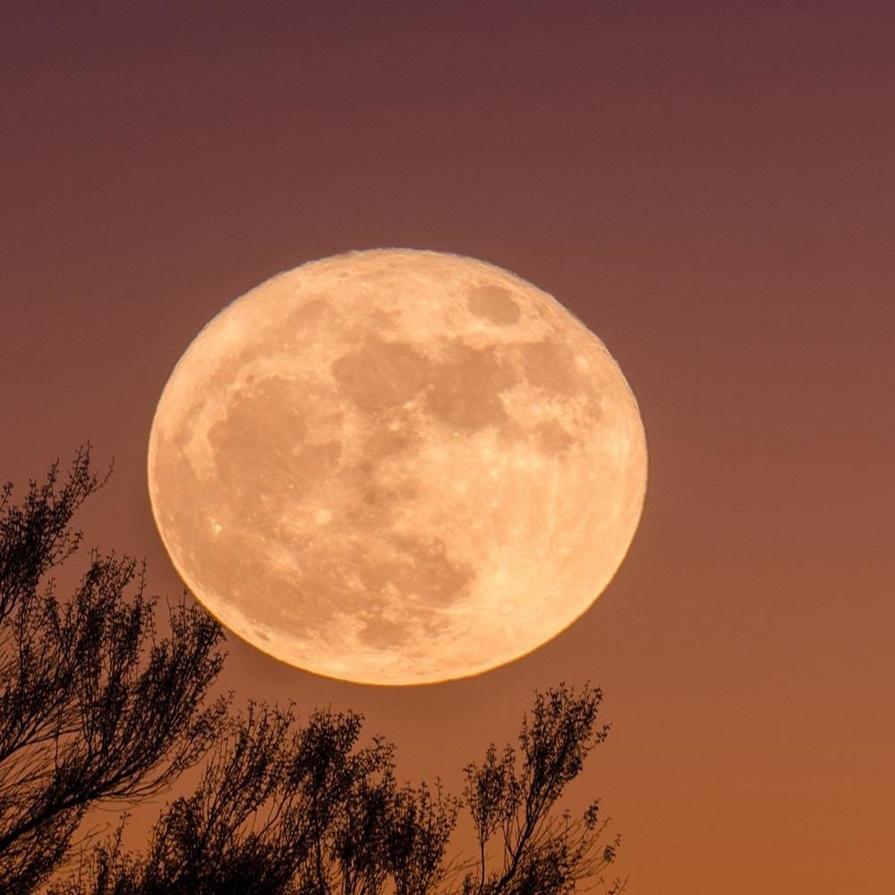 Glezna baltā rāmī - Big Moon Home Trends DECO