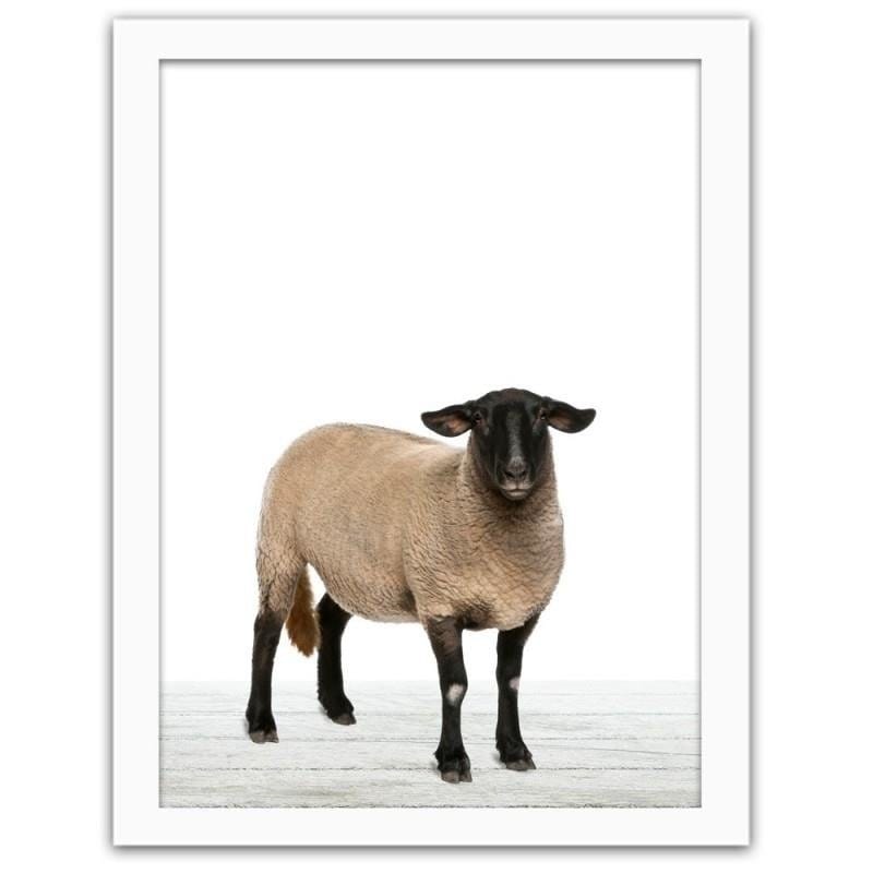 Glezna baltā rāmī - Big sheep Home Trends DECO