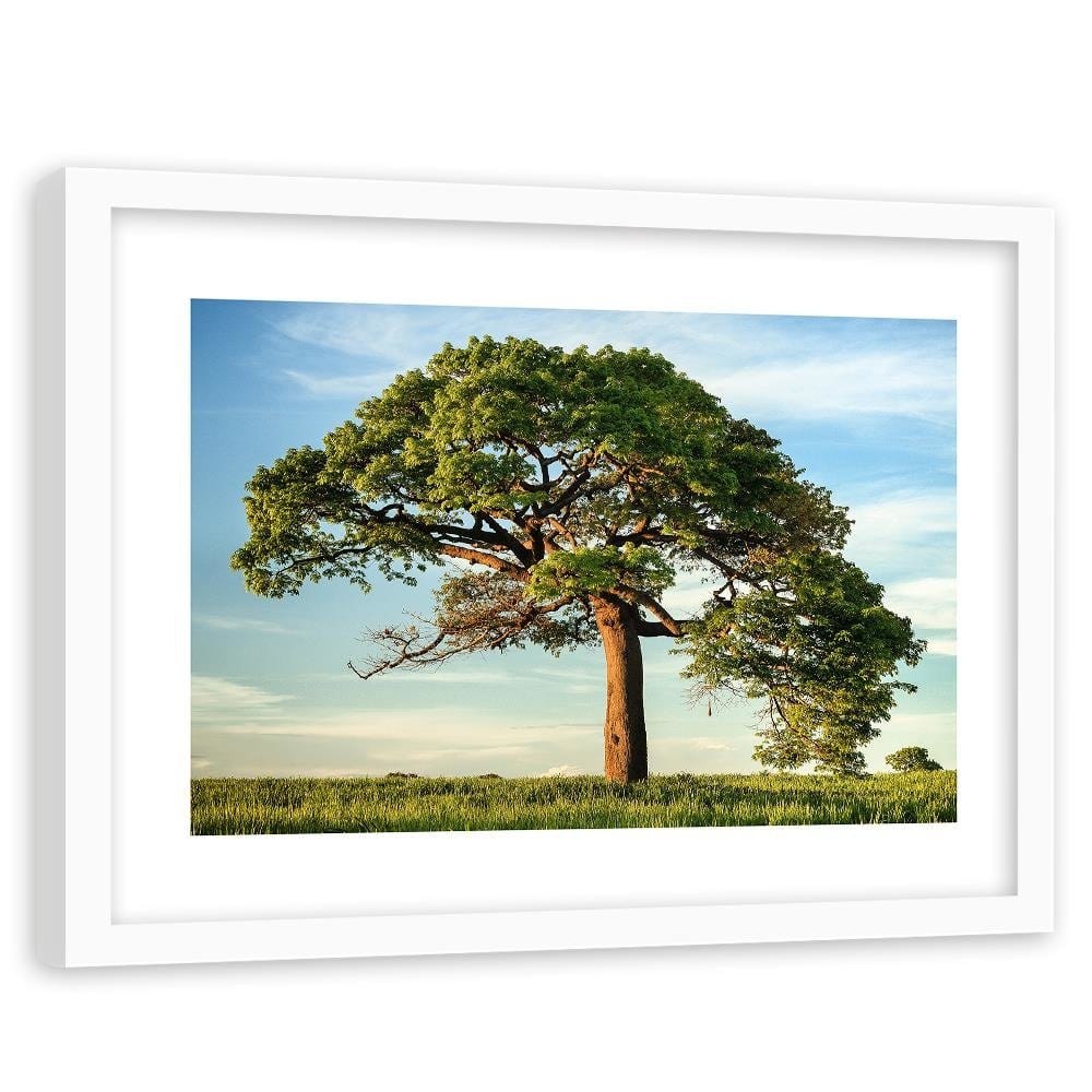 Glezna baltā rāmī - Big Trees Home Trends DECO