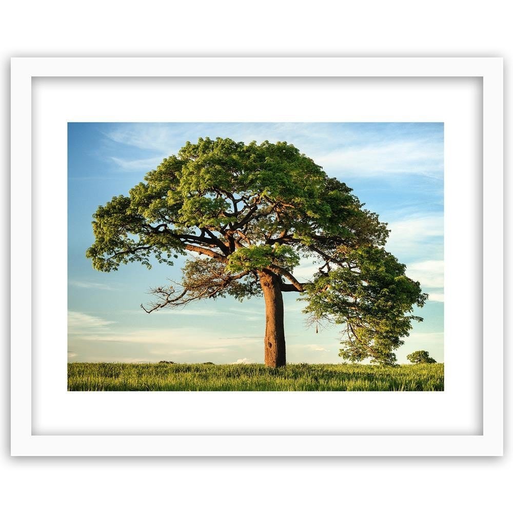 Glezna baltā rāmī - Big Trees Home Trends DECO