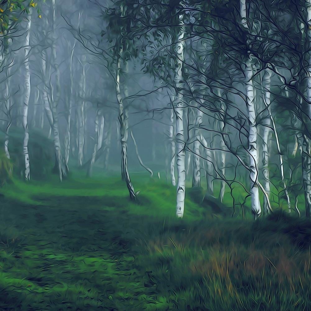 Glezna baltā rāmī - Birch In The Fog Home Trends DECO