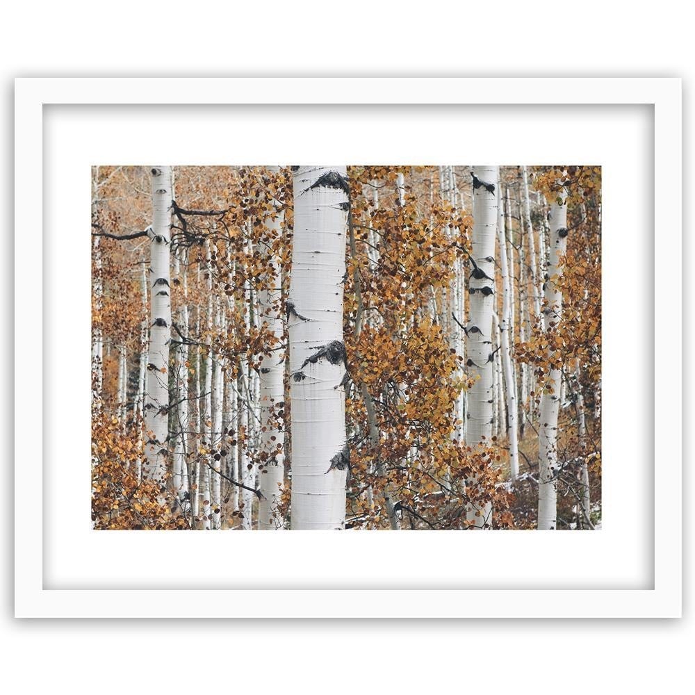 Glezna baltā rāmī - Birches Home Trends DECO