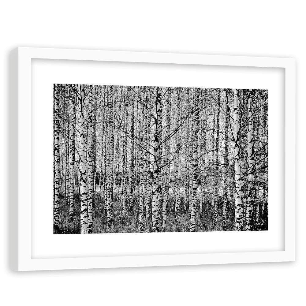 Glezna baltā rāmī - Black And White Birch Home Trends DECO