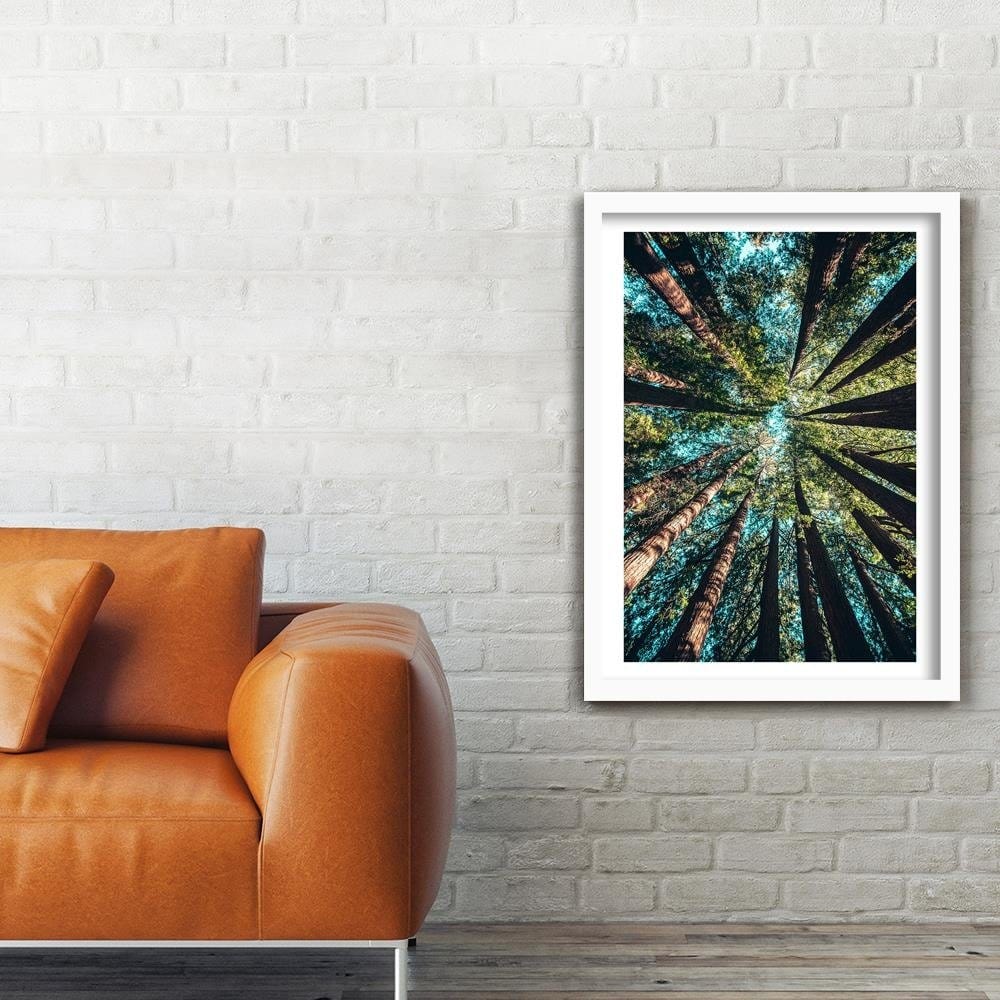 Glezna baltā rāmī - Branches Of Tall Trees Home Trends DECO