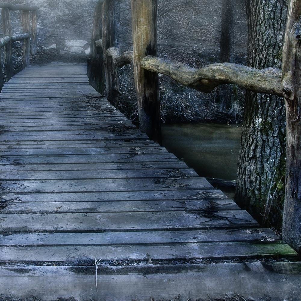 Glezna baltā rāmī - Bridge In The Fog Home Trends DECO