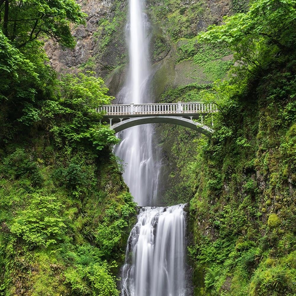 Glezna baltā rāmī - Bridge Over A Waterfall Home Trends DECO