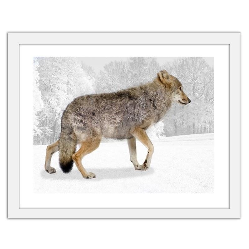 Glezna baltā rāmī - Brown wolf Home Trends DECO