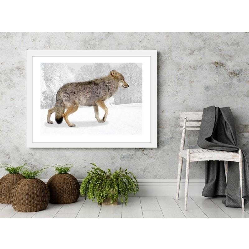 Glezna baltā rāmī - Brown wolf Home Trends DECO