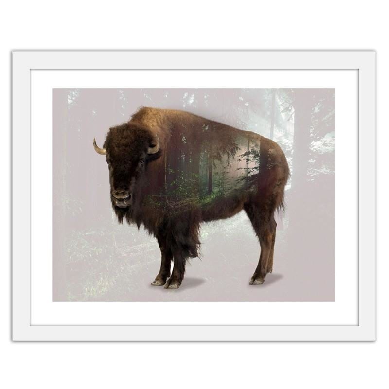 Glezna baltā rāmī - Buffalo Home Trends DECO
