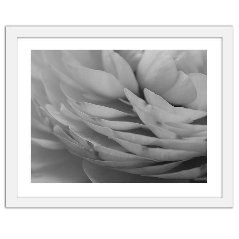 Glezna baltā rāmī - Buttercup flower petals Home Trends DECO