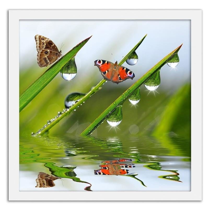 Glezna baltā rāmī - Butterflies on the peeled grass Home Trends DECO