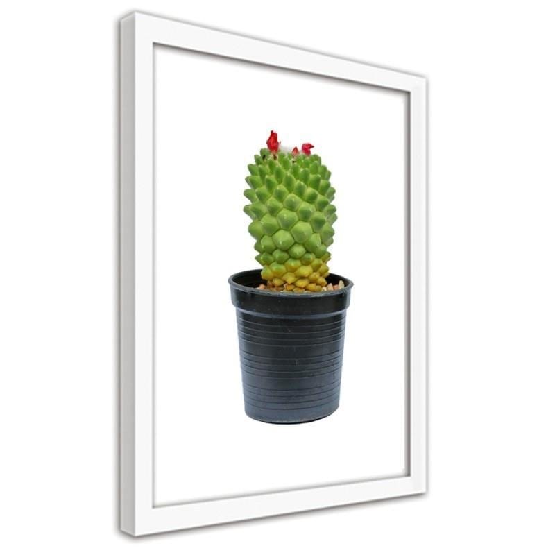 Glezna baltā rāmī - Cactus on white background Home Trends DECO