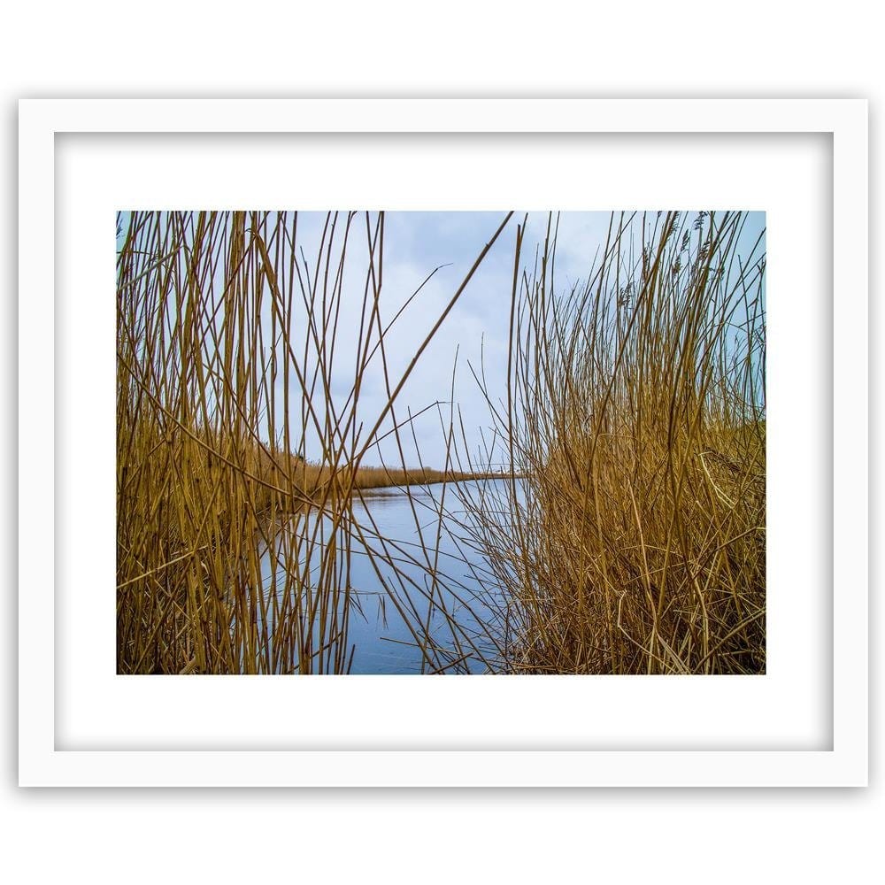 Glezna baltā rāmī - Cane On The Lake Home Trends DECO
