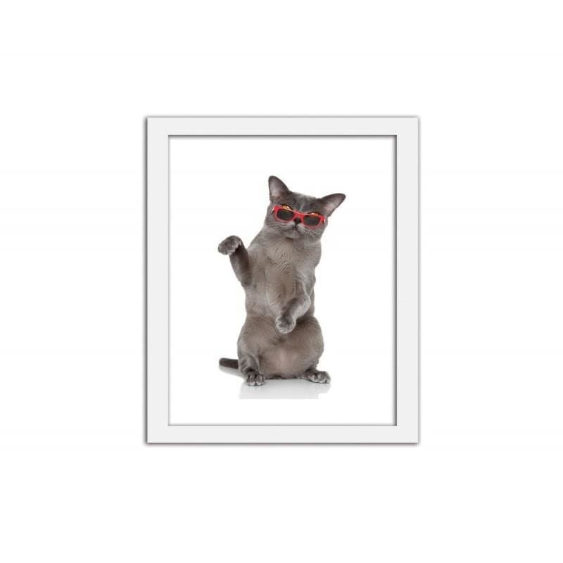 Glezna baltā rāmī - Cat in glasses Home Trends DECO