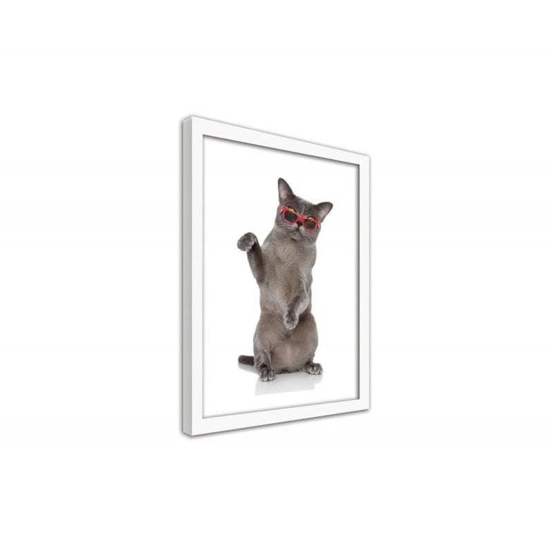 Glezna baltā rāmī - Cat in glasses Home Trends DECO