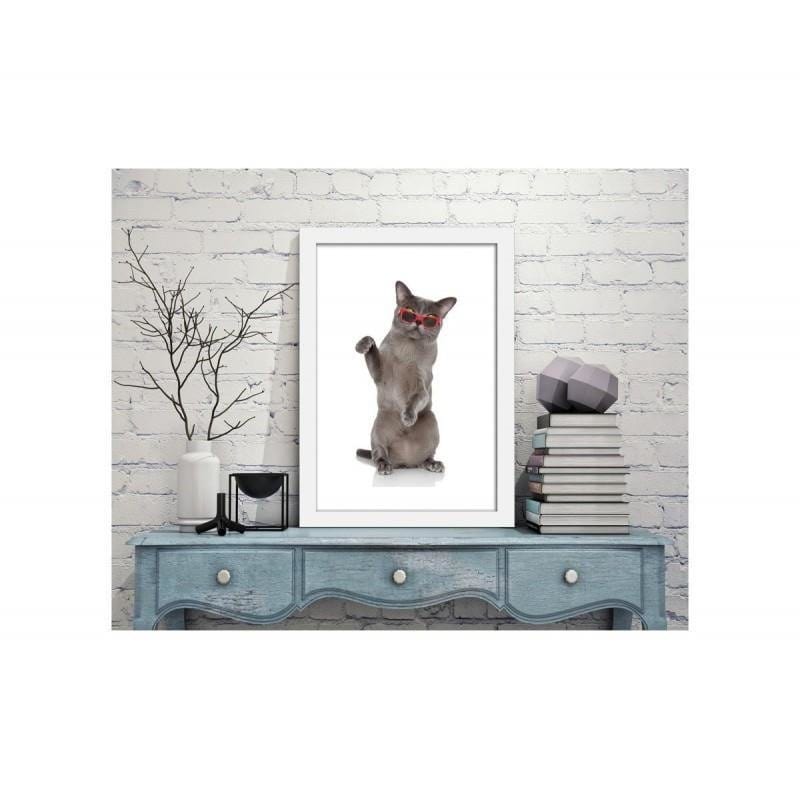 Glezna baltā rāmī - Cat in glasses Home Trends DECO