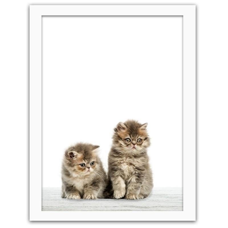 Glezna baltā rāmī - Cats Home Trends DECO