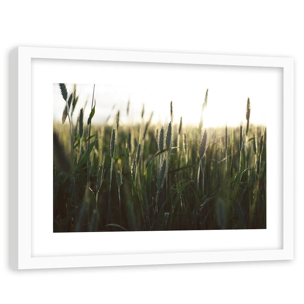 Glezna baltā rāmī - Cereal In The Sunshine Home Trends DECO
