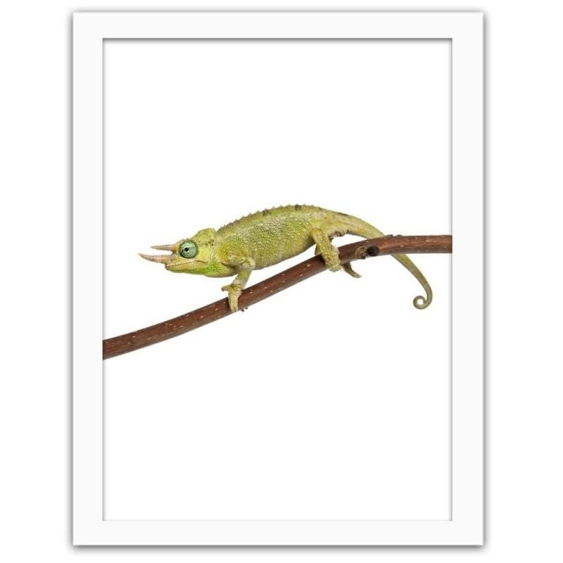 Glezna baltā rāmī - Chameleon Home Trends DECO