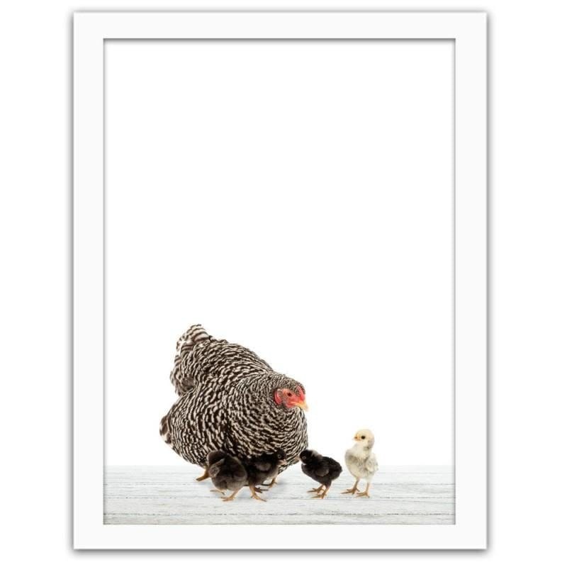 Glezna baltā rāmī - Chicken and chicken Home Trends DECO