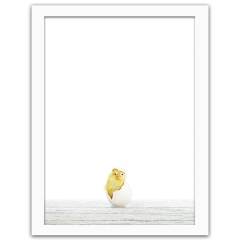 Glezna baltā rāmī - Chicken in shell Home Trends DECO