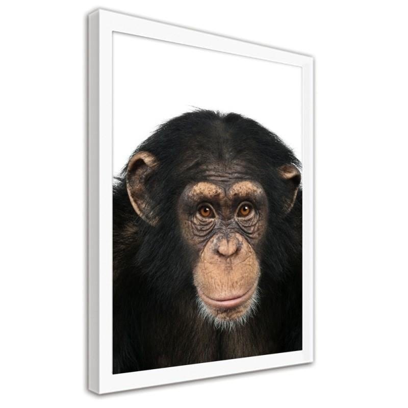 Glezna baltā rāmī - Chimpanzee Home Trends DECO