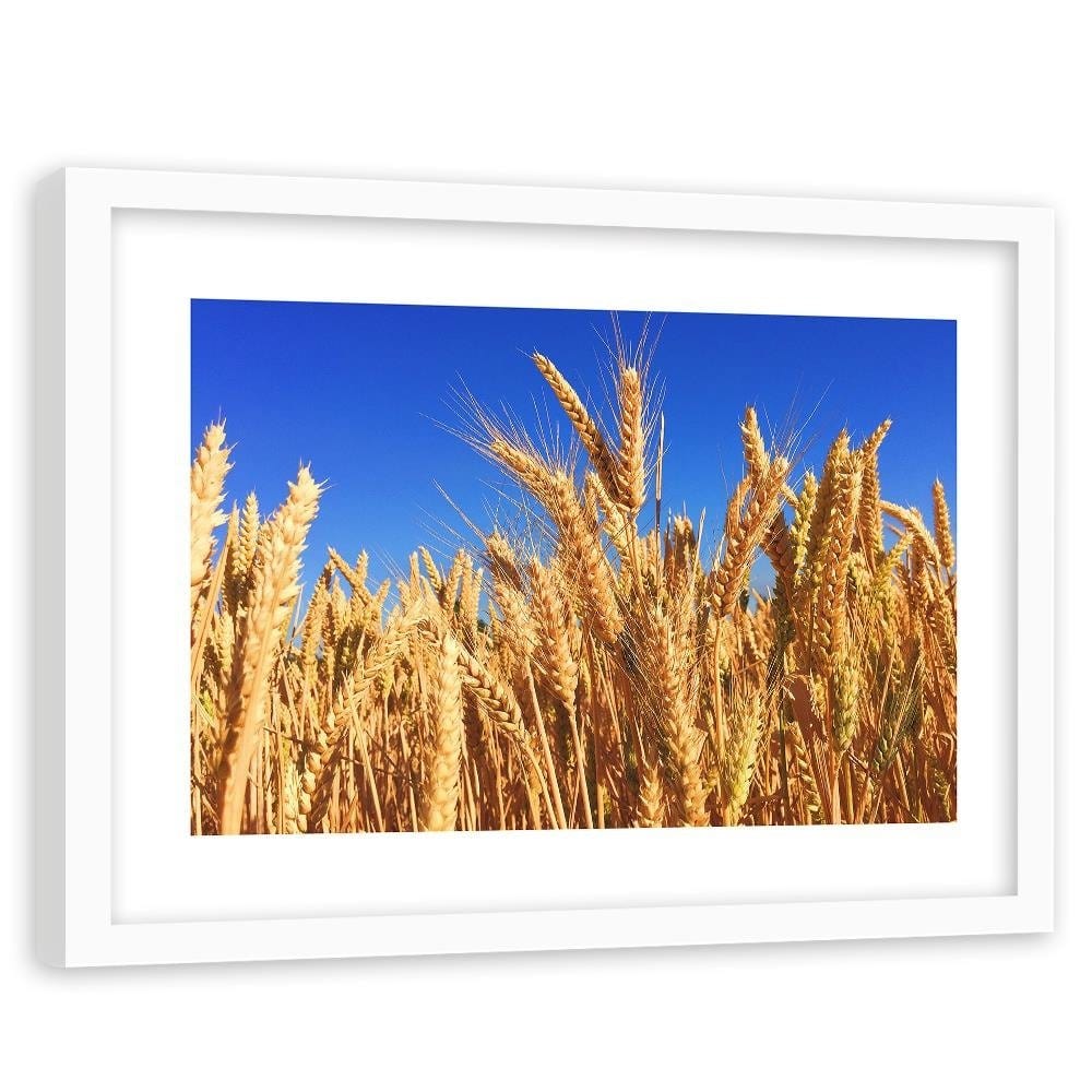 Glezna baltā rāmī - Cloudless Sky And Grain Home Trends DECO