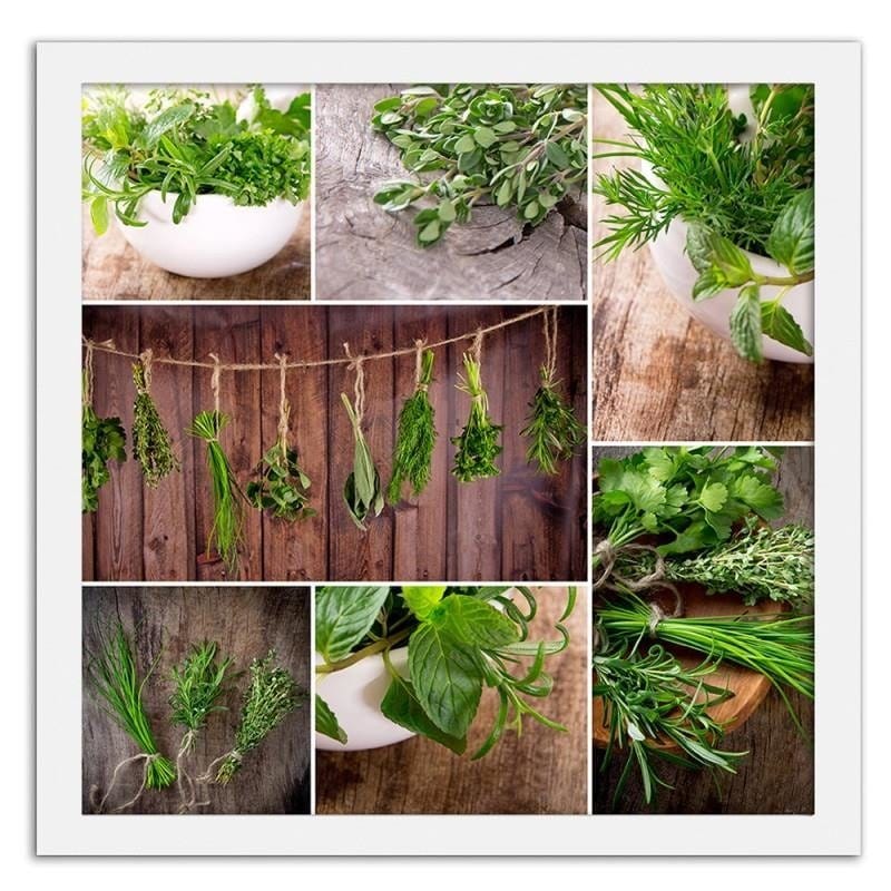 Glezna baltā rāmī - Collected herbs Home Trends DECO