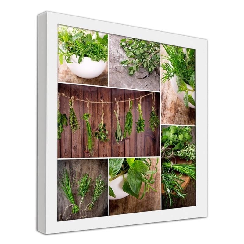Glezna baltā rāmī - Collected herbs Home Trends DECO