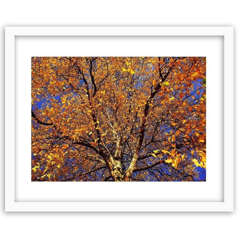Glezna baltā rāmī - Colorful Leaves On A Tree  Home Trends DECO