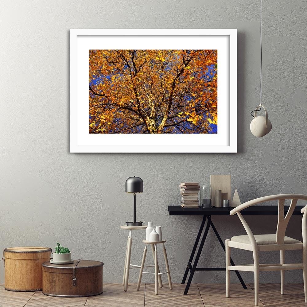 Glezna baltā rāmī - Colorful Leaves On A Tree Home Trends DECO