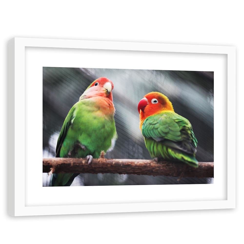 Glezna baltā rāmī - Colorful Parrots  Home Trends DECO