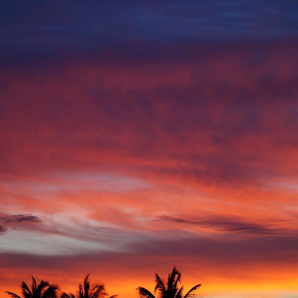 Glezna baltā rāmī - Colorful Sky And Palm Trees Home Trends DECO