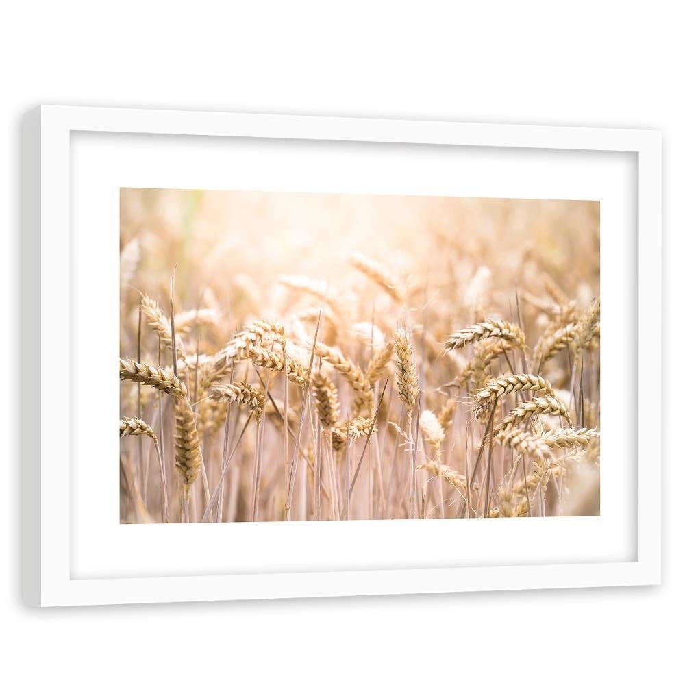 Glezna baltā rāmī - Corn In The Sun 2 Home Trends DECO