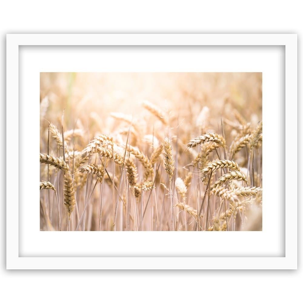 Glezna baltā rāmī - Corn In The Sun 2 Home Trends DECO