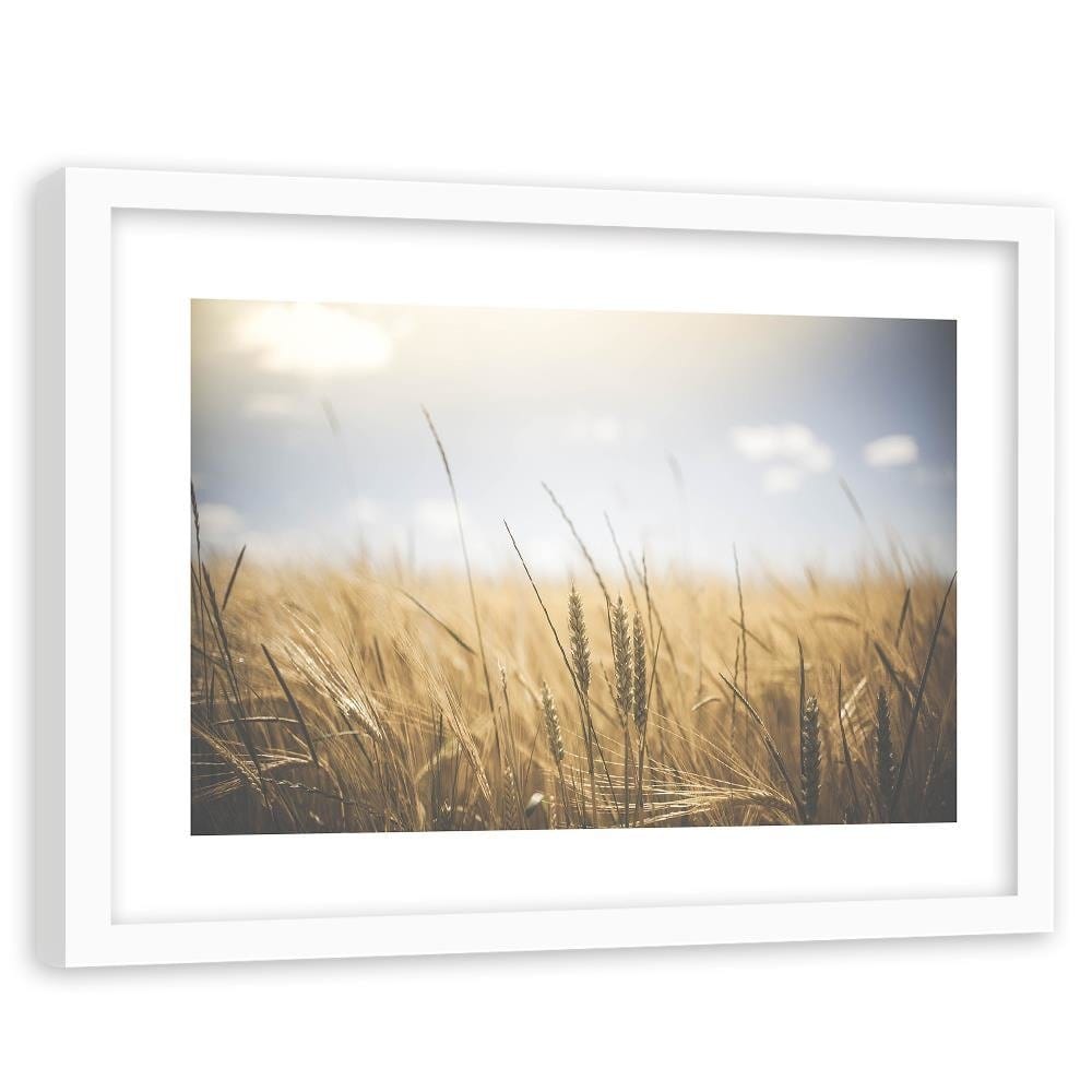 Glezna baltā rāmī - Corn In The Sun 3 Home Trends DECO