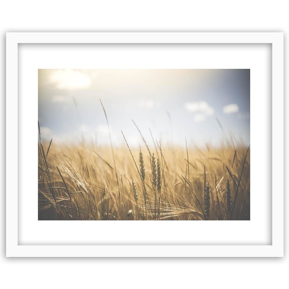 Glezna baltā rāmī - Corn In The Sun 3 Home Trends DECO