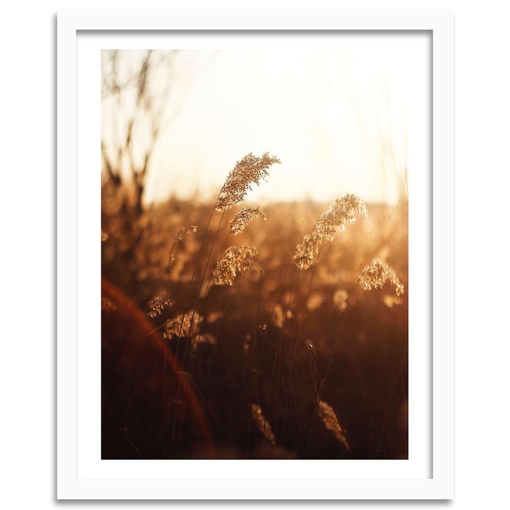 Glezna baltā rāmī - Corn In The Sun Home Trends DECO