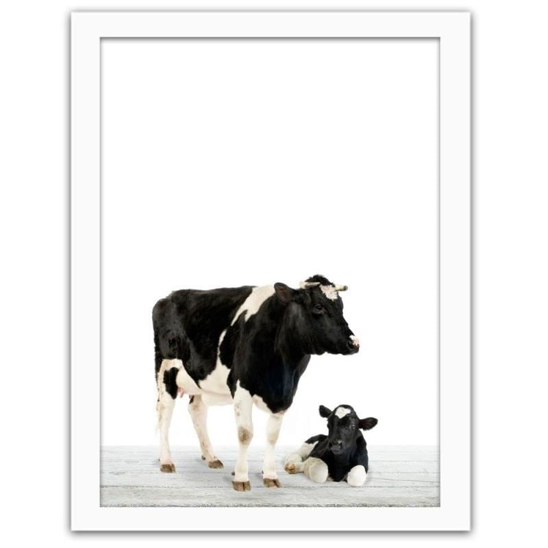 Glezna baltā rāmī - Cow with a calf Home Trends DECO