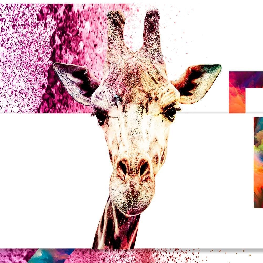 Glezna baltā rāmī - Curious Giraffe  Home Trends DECO