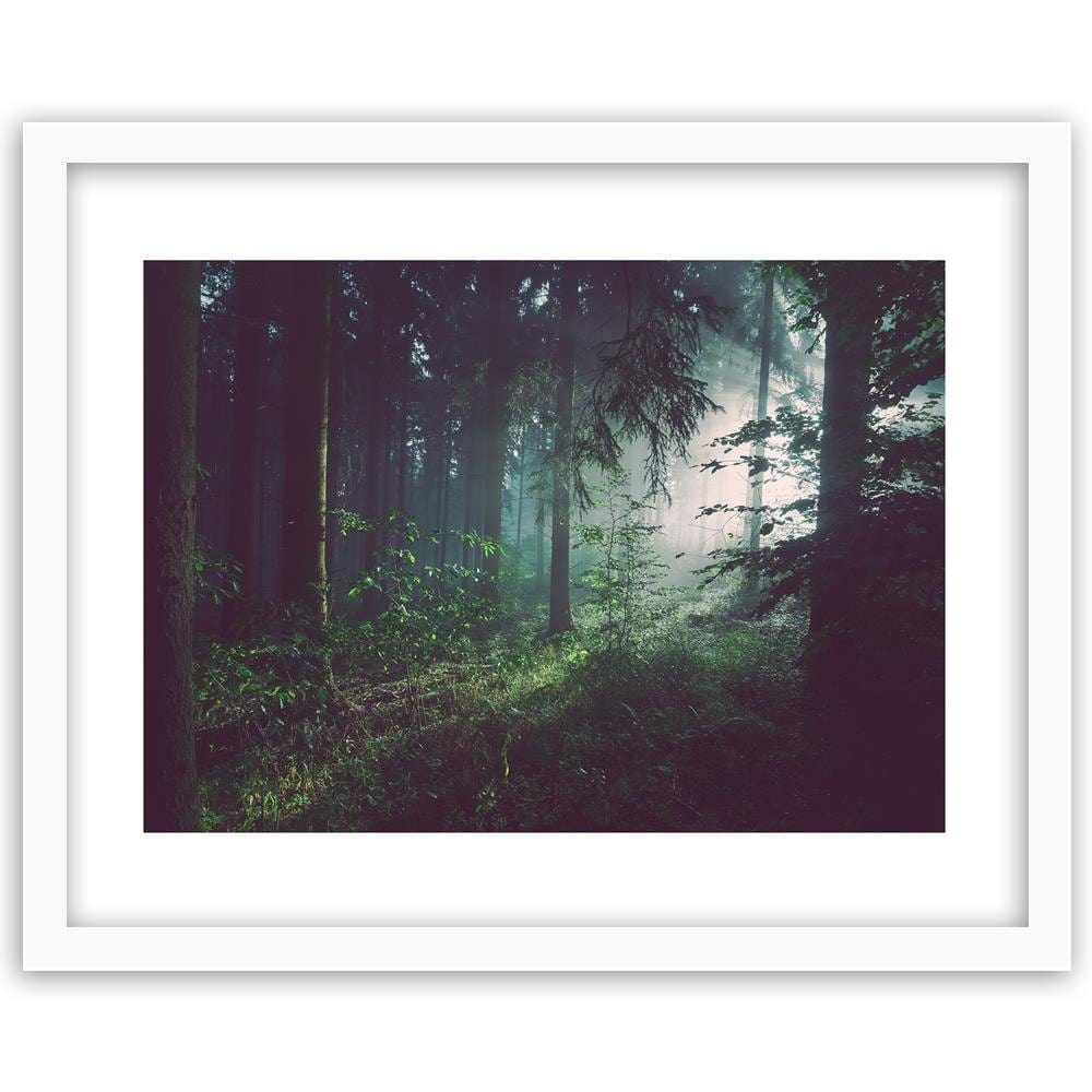 Glezna baltā rāmī - Dark Forest  Home Trends DECO