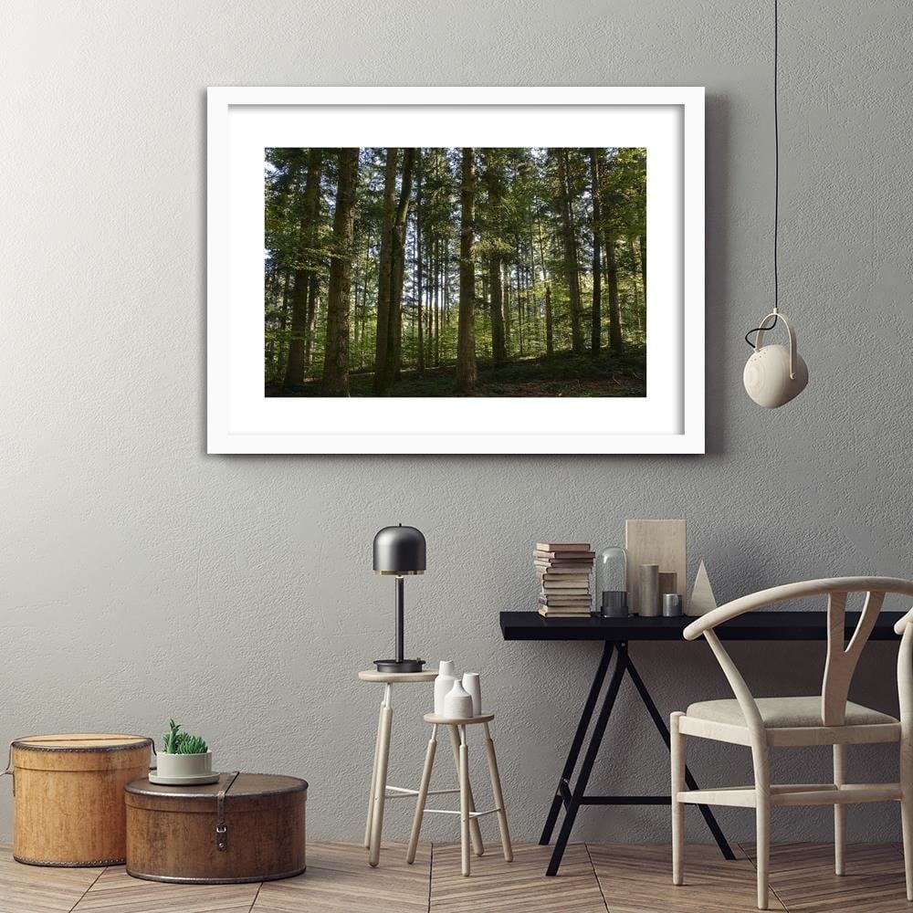 Glezna baltā rāmī - Dark Forest On A Sunny Day Home Trends DECO