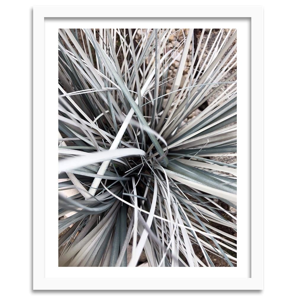 Glezna baltā rāmī - Decorative Grass Home Trends DECO