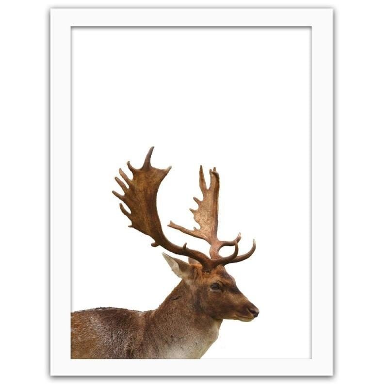 Glezna baltā rāmī - Deer Home Trends DECO