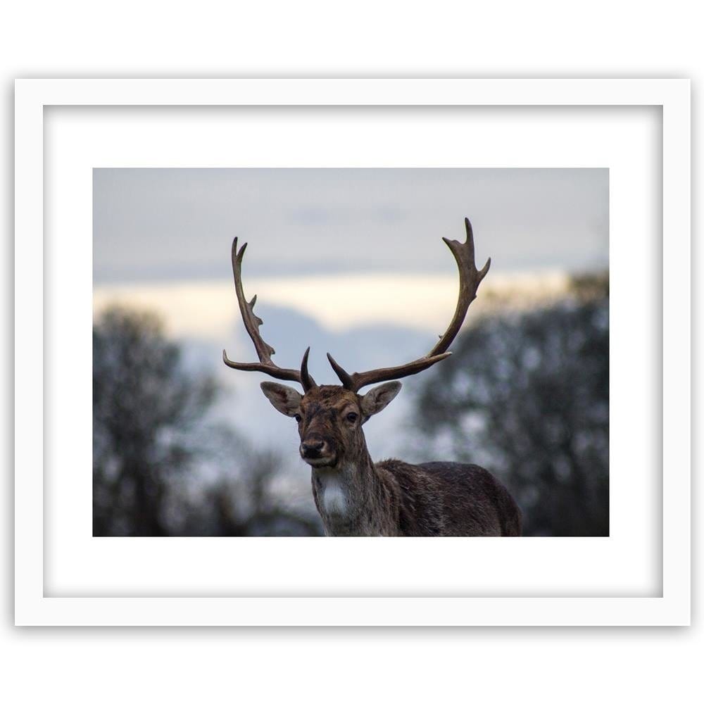 Glezna baltā rāmī - Deer  Home Trends DECO