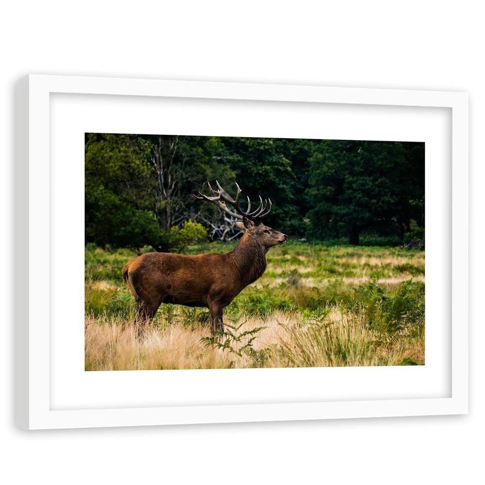 Glezna baltā rāmī - Deer In Rut  Home Trends DECO