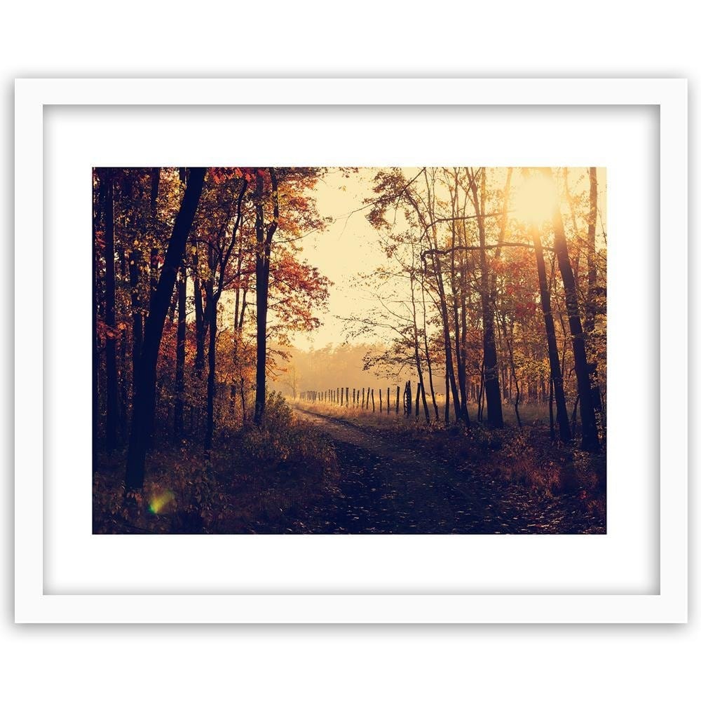 Glezna baltā rāmī - Dirt Road At The Forest  Home Trends DECO