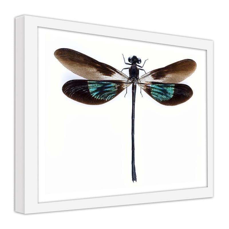 Glezna baltā rāmī - Dragonfly Home Trends DECO