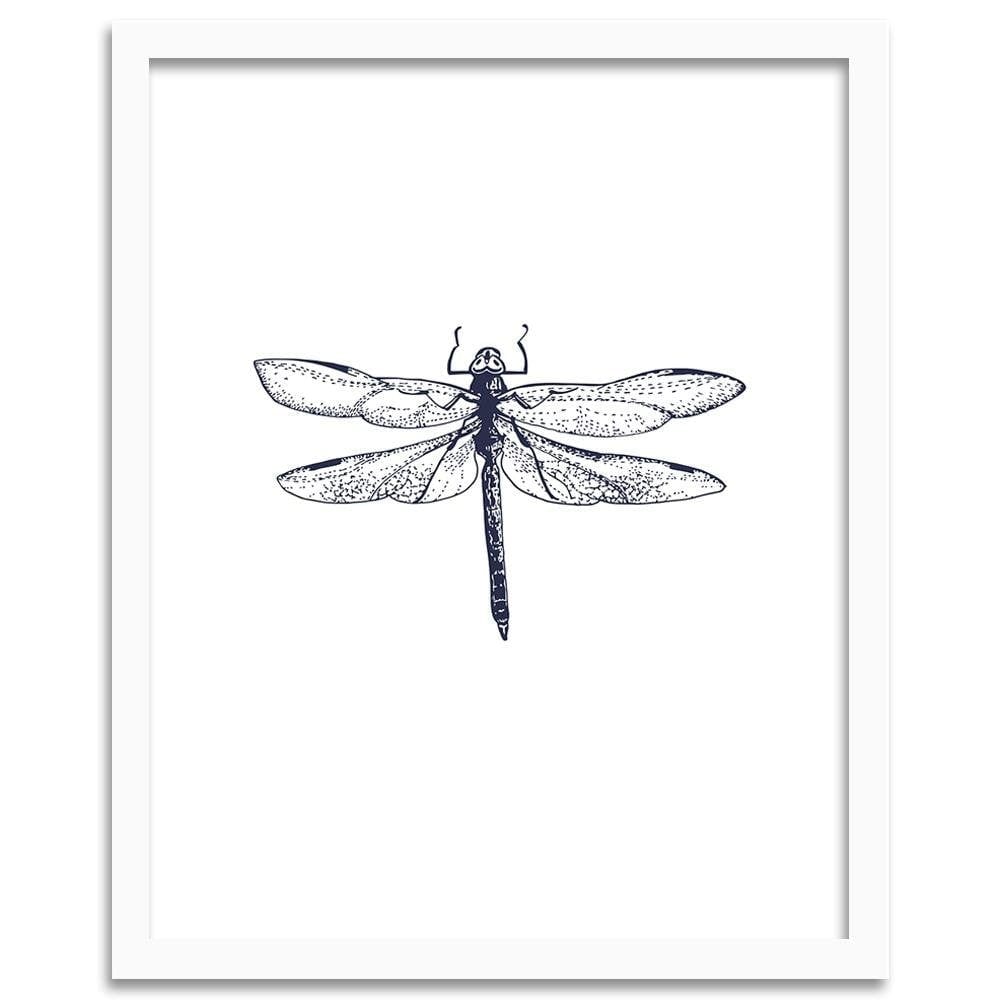 Glezna baltā rāmī - Drawn Dragonfly Home Trends DECO