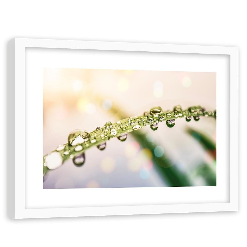 Glezna baltā rāmī - Drops On Grass  Home Trends DECO